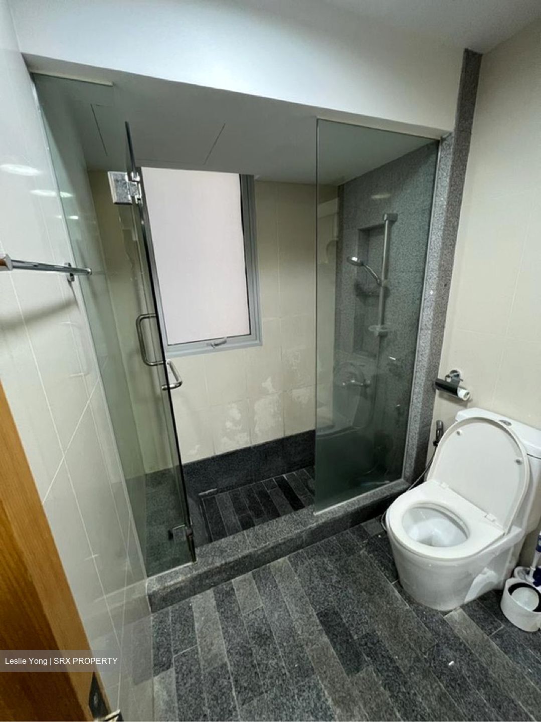 8 @ Mount Sophia (D9), Condominium #635089791